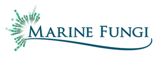 Marine Fungi